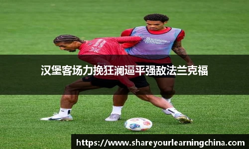 汉堡客场力挽狂澜逼平强敌法兰克福