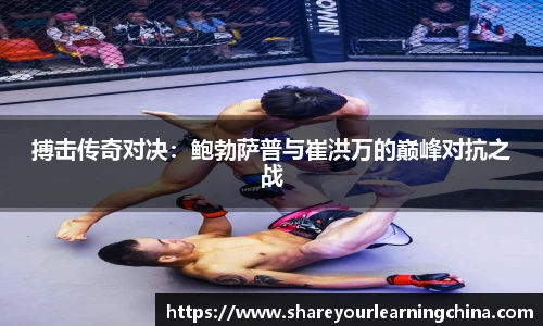 搏击传奇对决：鲍勃萨普与崔洪万的巅峰对抗之战